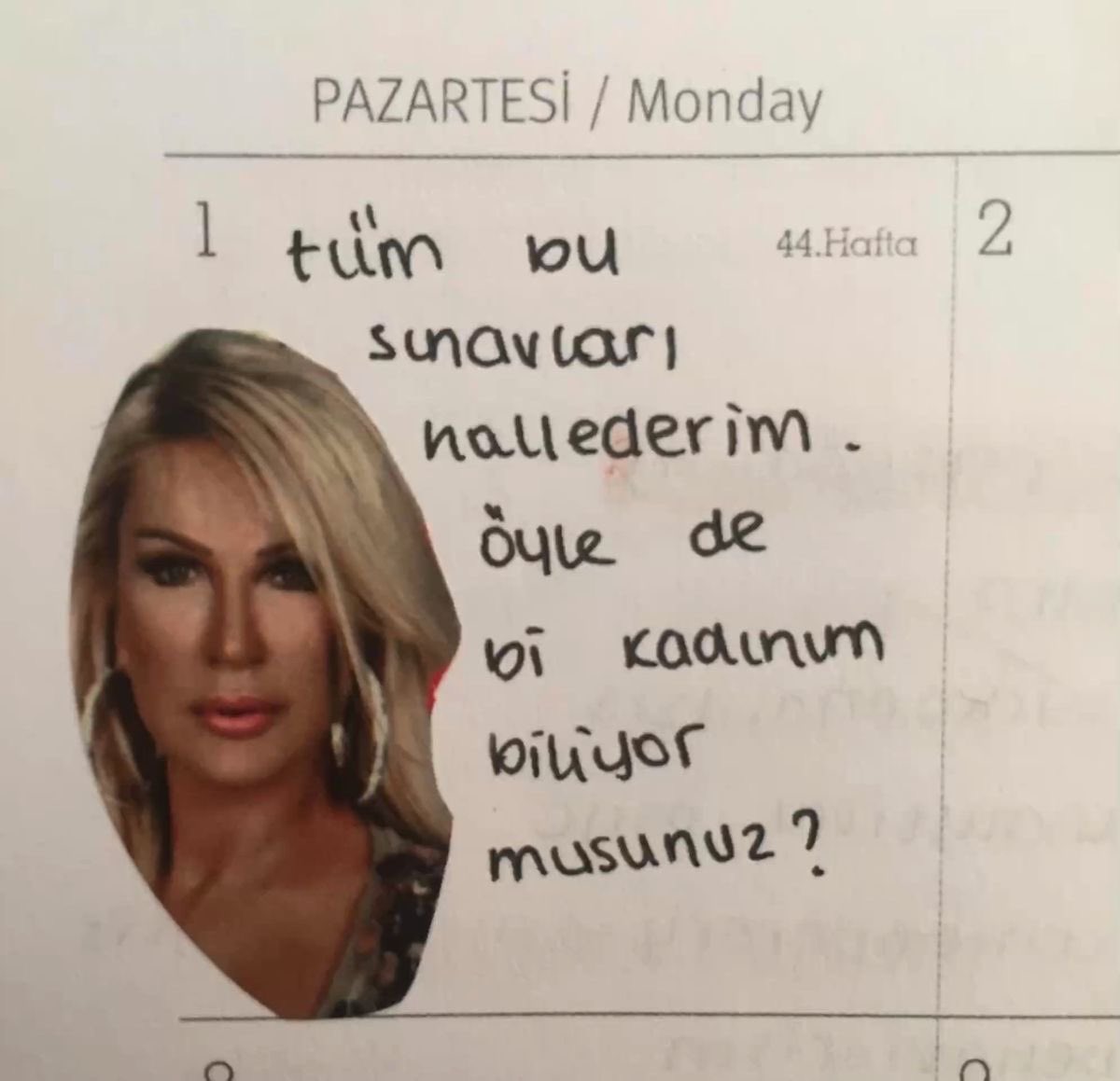 Academic Adventure (@academicadvent3) on Twitter photo 