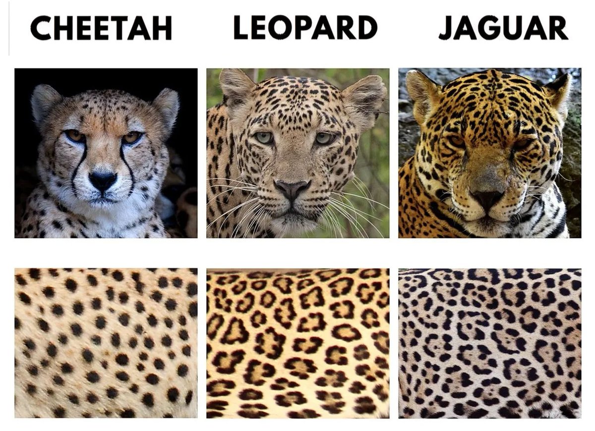 Sharing to educate cause not enough
people know