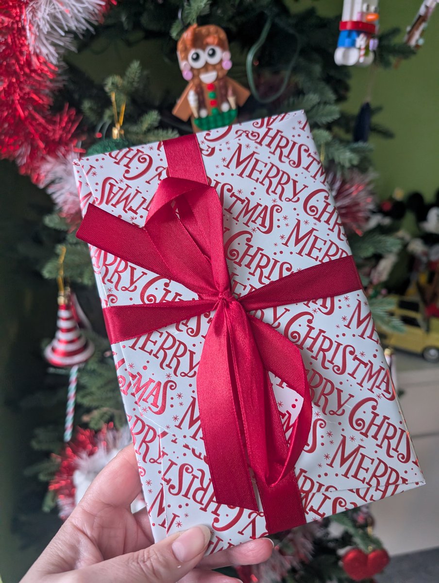 Sam48Bell's tweet image. It's arrived. My @bertsbooks Secret Santa. It feels interesting so I'm looking forward to finding out what it is. Under the tree until Christmas.