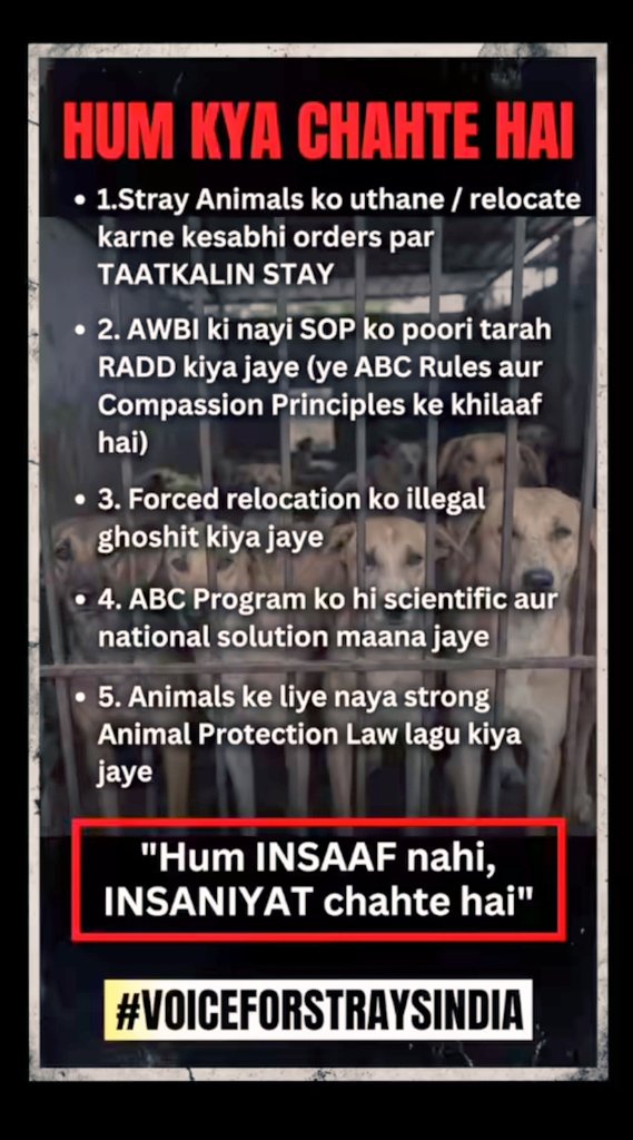 NARGISB75145697's tweet photo. #voiceforstraysindia https://t.co/vyw9ls2AtK