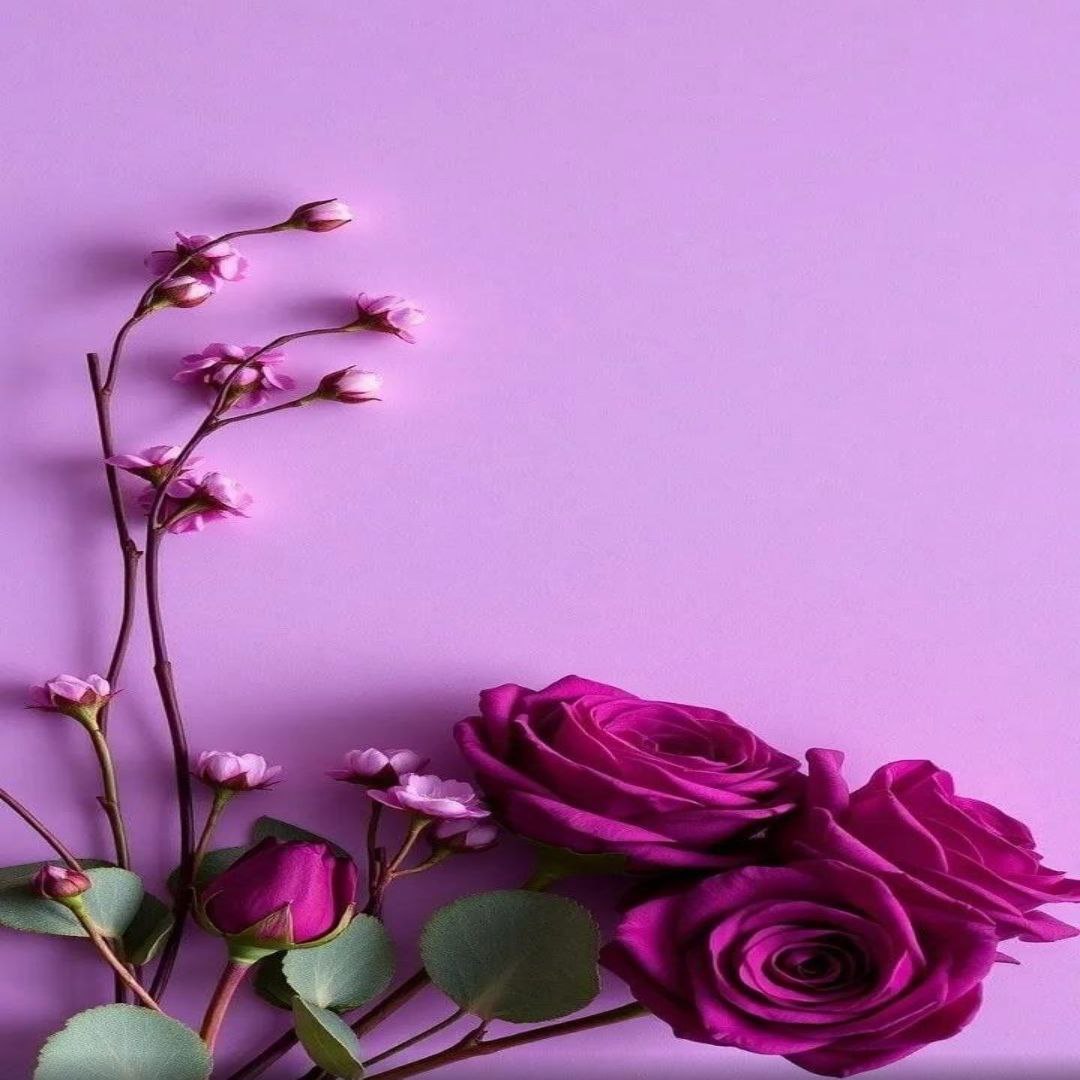 Ahmed_Alyamii's tweet image. مسااااء السعاده والرضا