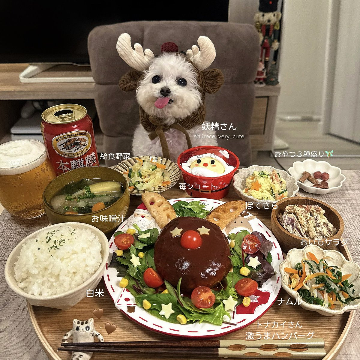 一週間後クリスマスみたいだけど、
皆んなはなにをお願いしたの🎅🏻🎁♥️？