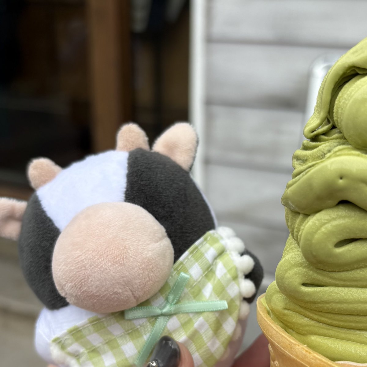 もぐらっぴやさん (@mogurappi) / Posts / X