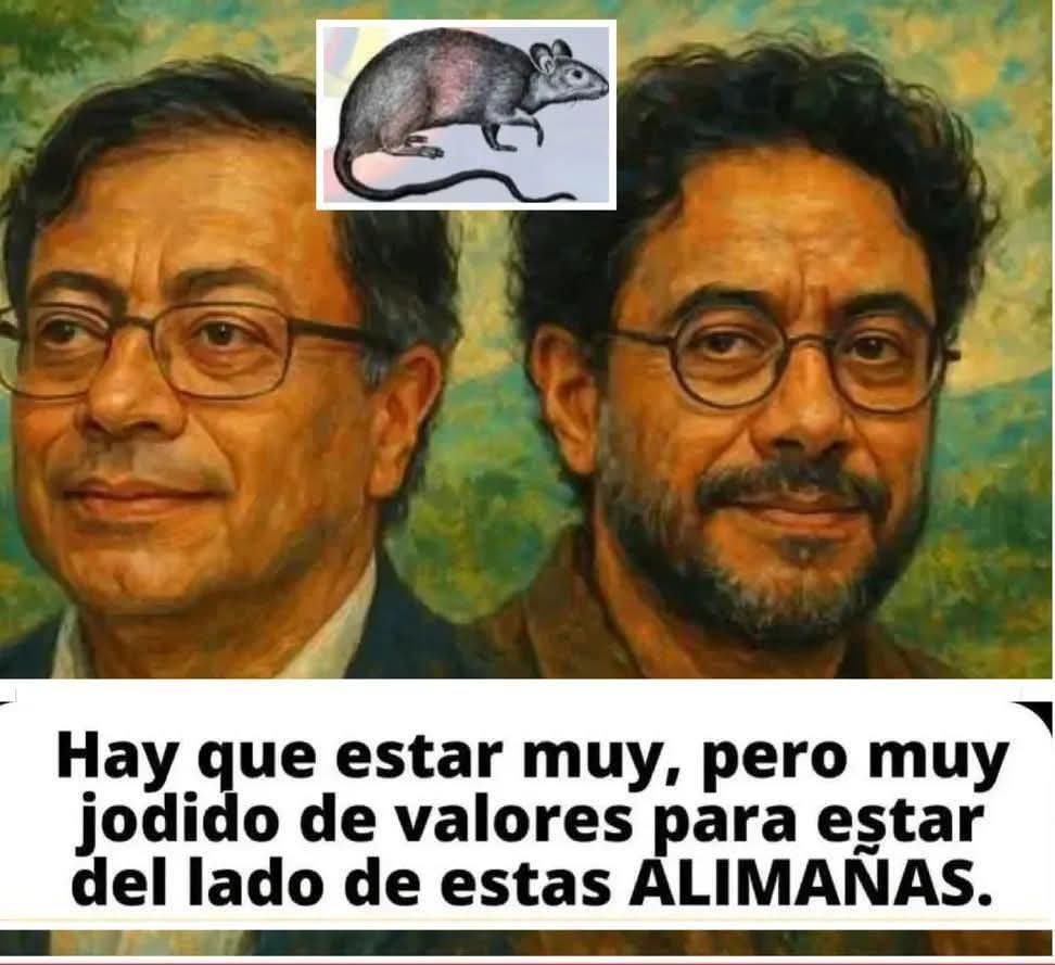 AdrianaVeterin's tweet photo. 🎯 https://t.co/y2p0ecPZET