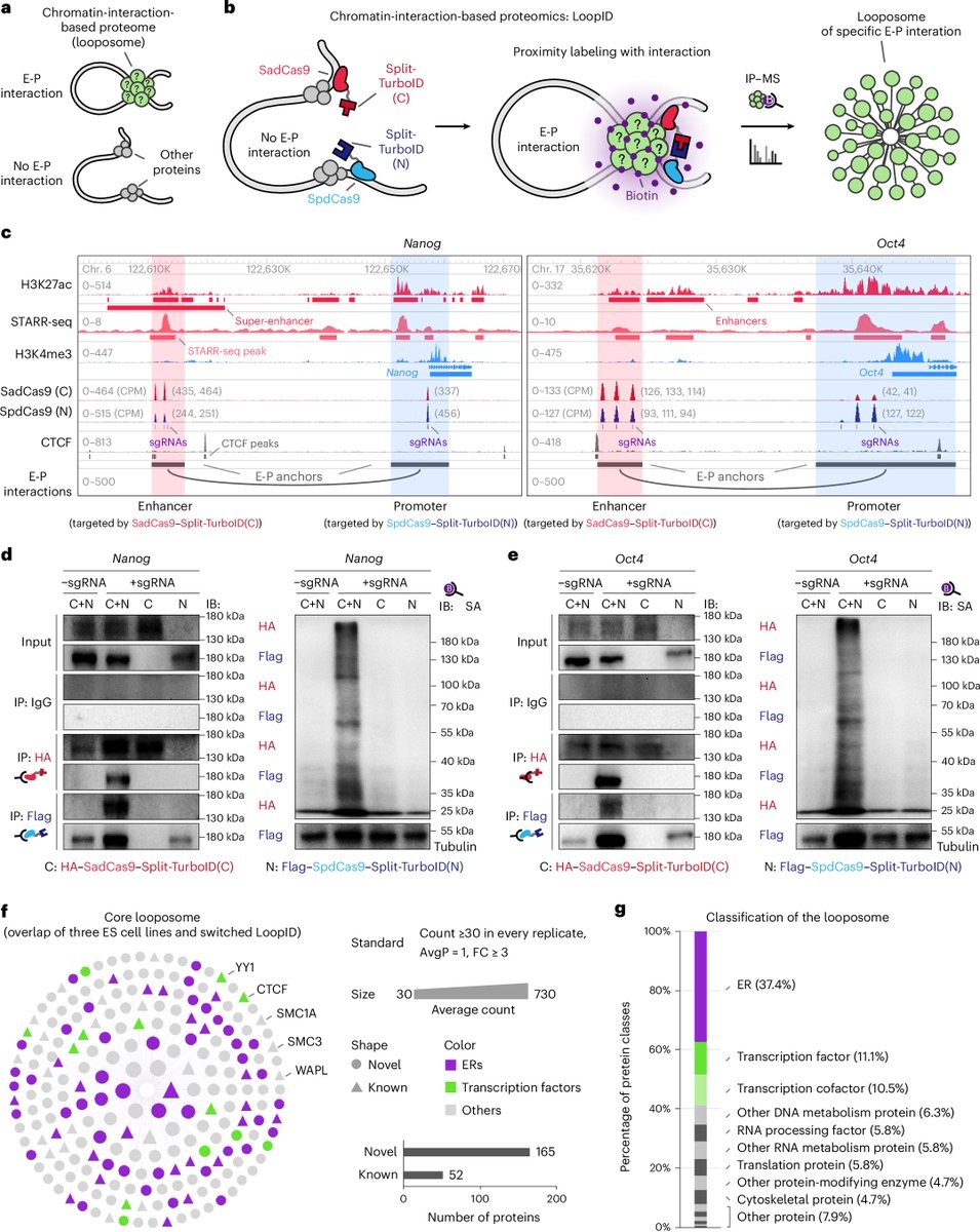 Epigenome Technologies Inc. tweet media