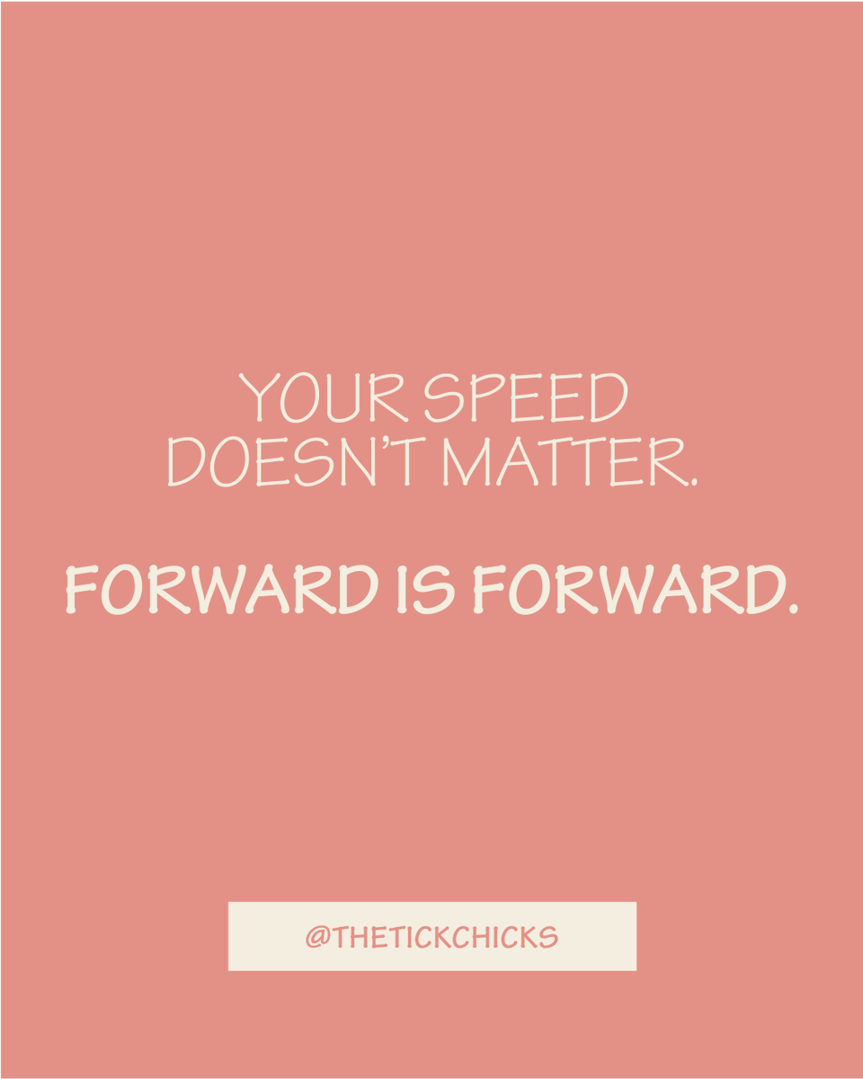 The Tick Chicks tweet media