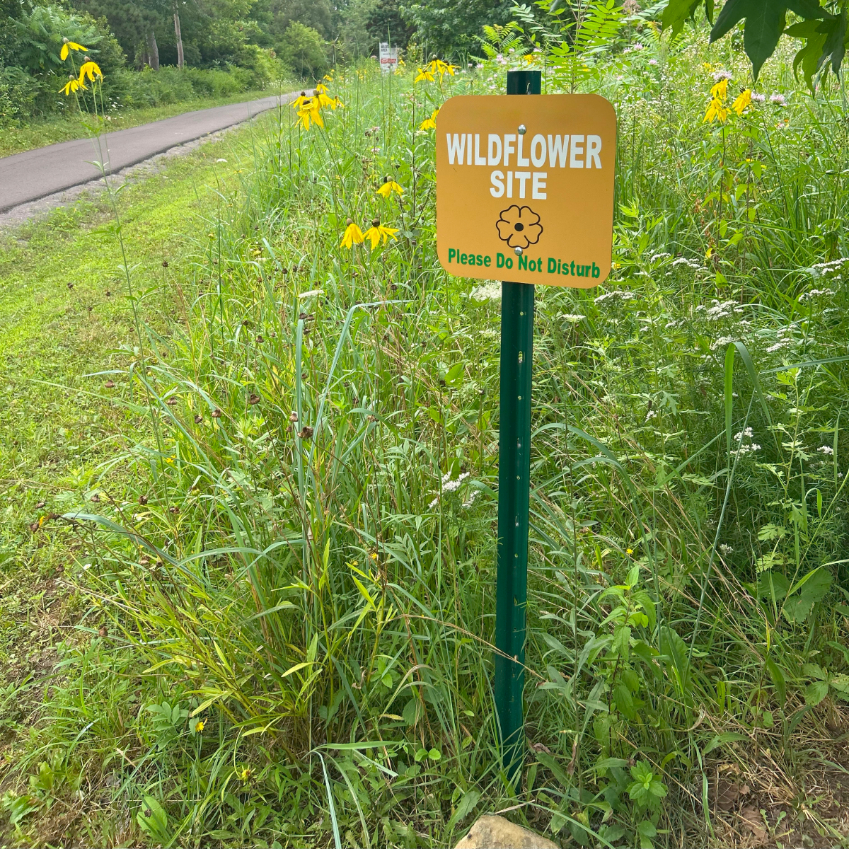 Ernst Seeds tweet media