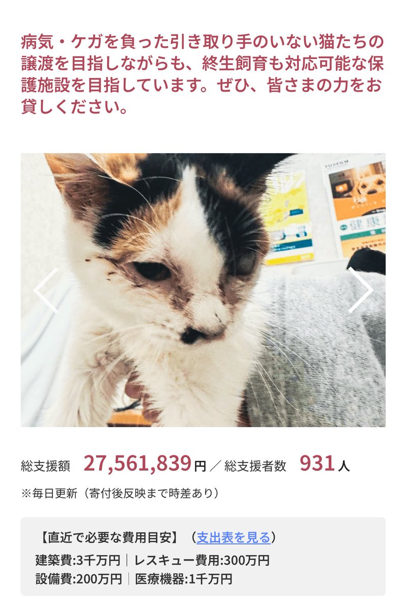 猫又療養所ついに工事開始。
この総工費3810万と、土地取得費用やここまでの経費を考えると、ちょうど半分くらいを支援者さんたちからいただいた形になります。
電気や許可関係でかなりお待たせしました。
明日払い込みして間もなく着工します。

猫又療養所支援🐾
nekomata-sanatorium.com