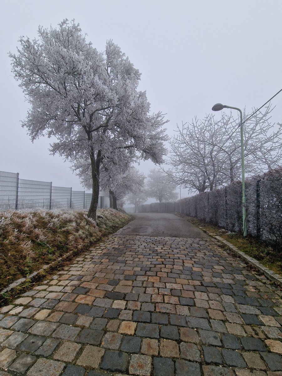 Gulamovic's tweet photo. Tragovi sinoćnjeg, ledenog šapata vjetra. https://t.co/5OodDPqBIR