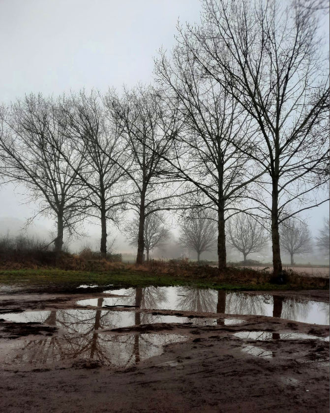 The witch works with cold realities. She walks the mud, she walks the mist. Puddles on the threshold of ice become her scrying pools. Trees become a black scratching against sky gift her a new secret language. No season is hollow of magics. – #EmilyCBanting, 1982 #Witchcraft