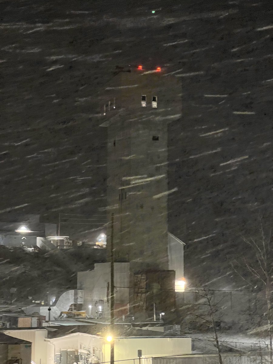 Shane Williams tweet media