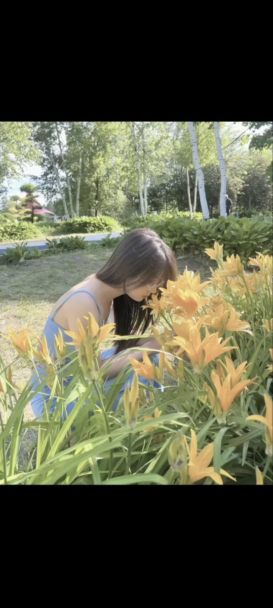 TD晚安 tweet media