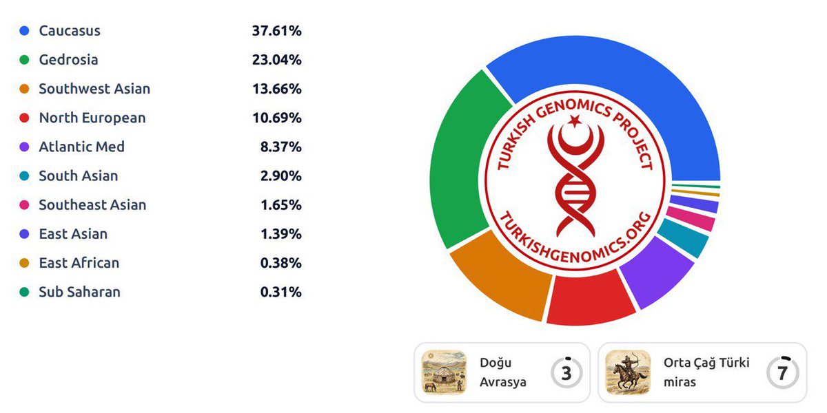 Polat 🗽🏛️ ✹ tweet media
