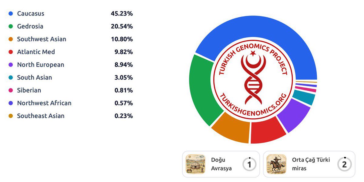 Polat 🗽🏛️ ✹ tweet media