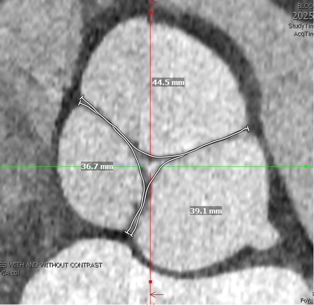 Jordan Bloom tweet media