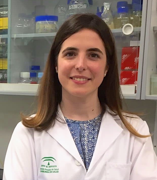 Ateneo de Sevilla tweet media