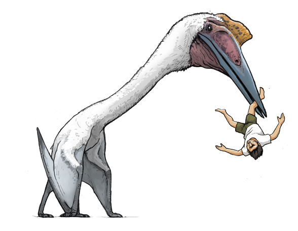 k@zu （カズ） (@kazu_caffeinism) / Posts / X