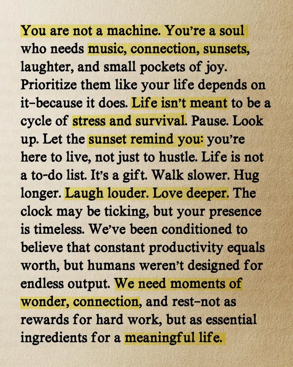 Seek Wiser tweet media