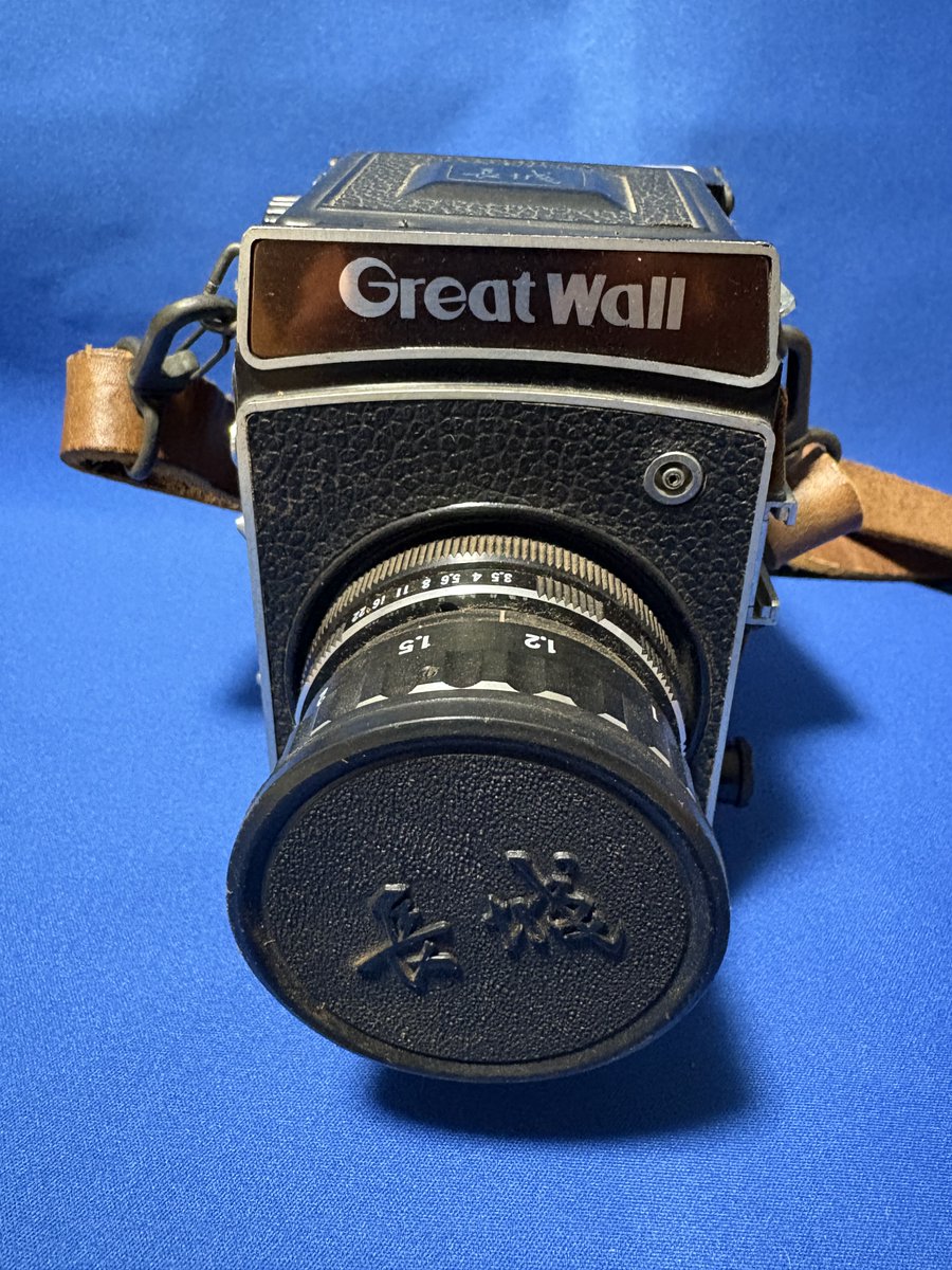 カメスズ界隈でフィーバーしている 長城-Great Wallを手に入りました