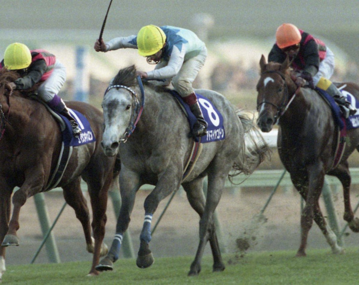 アドマイヤコジーン、 1998年の #朝日杯 と2002年の #安田記念 のGI2 アドマイヤコジーン朝日杯馬券