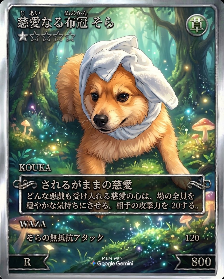 そらカードダスコレクション続々爆誕中🐶🐶🐶🐶 1枚目が夏仕様だから