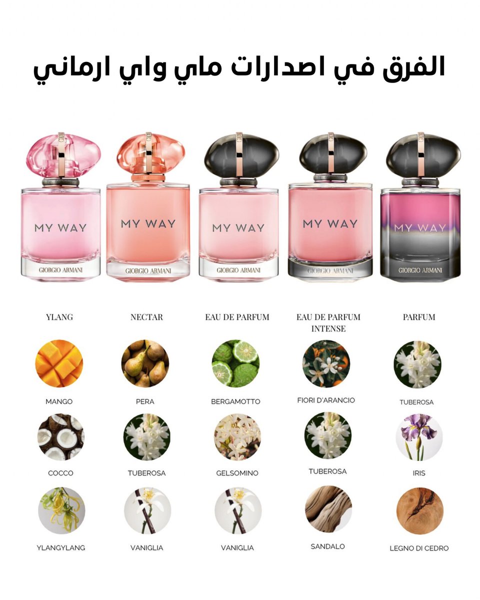 الفرق في اصدارات ماي واي