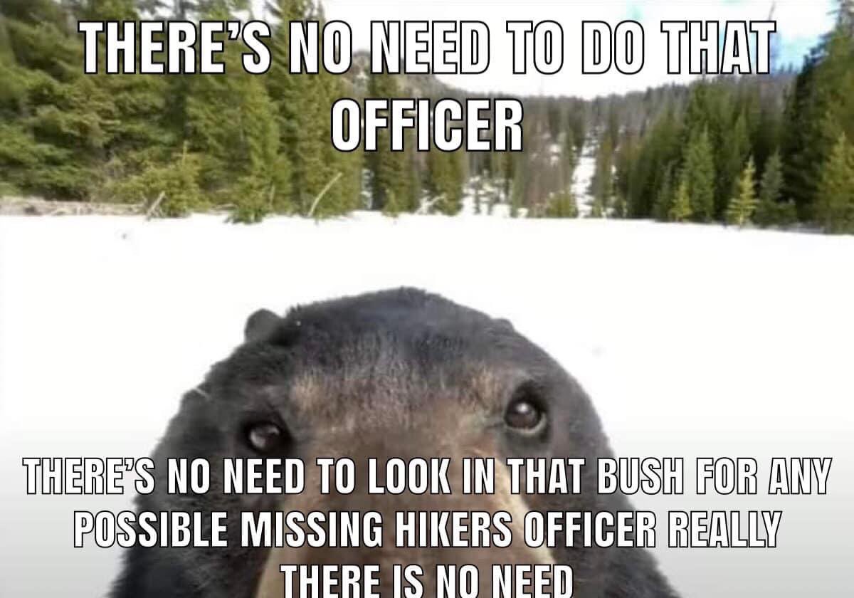 BearPosting's tweet image. 