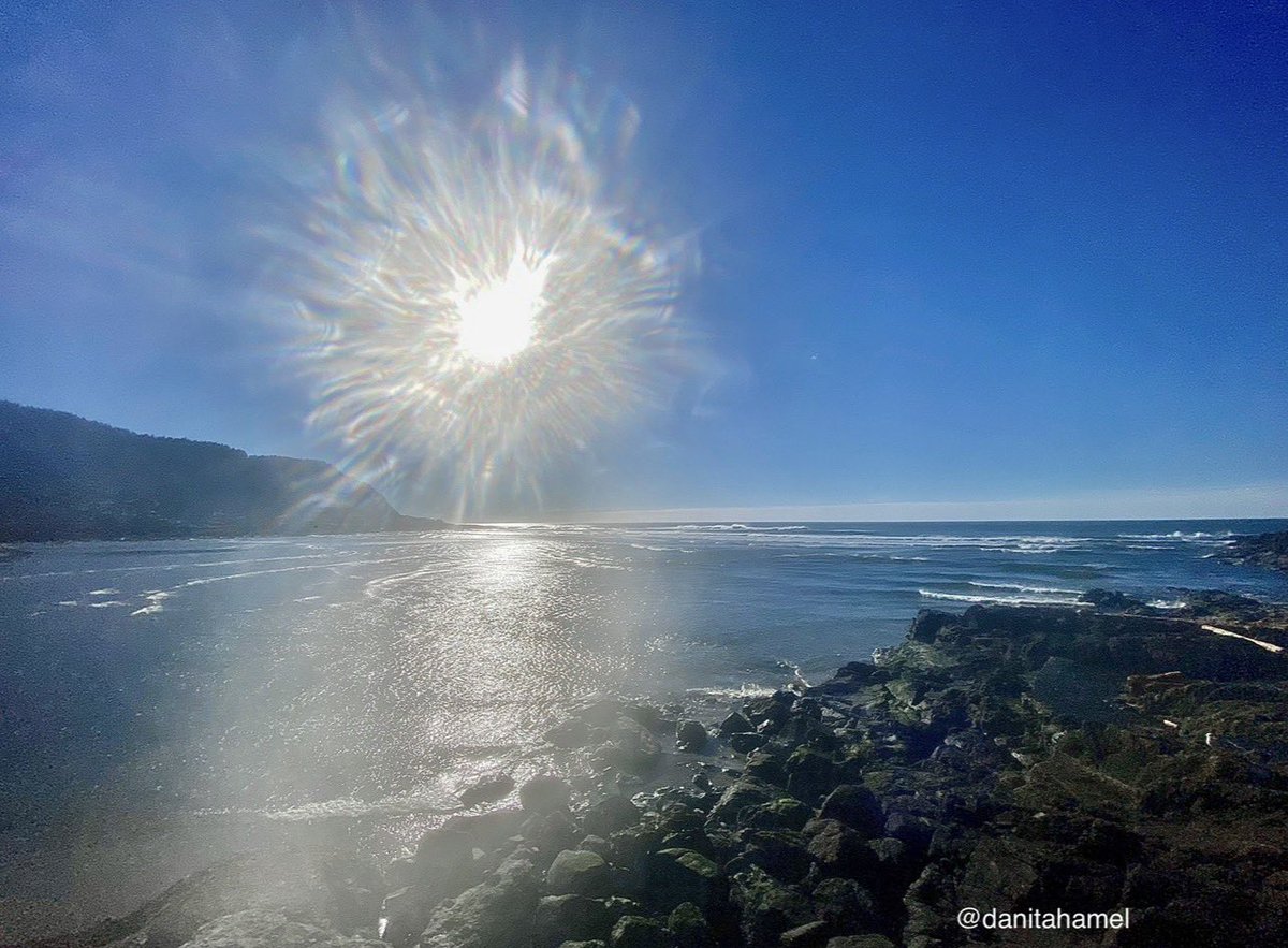 danitahamel's tweet image. Good morning and happy Wednesday!🫖☕️😀

Today’s photo theme is: Winter Sun❄️☀️

#WinterSun