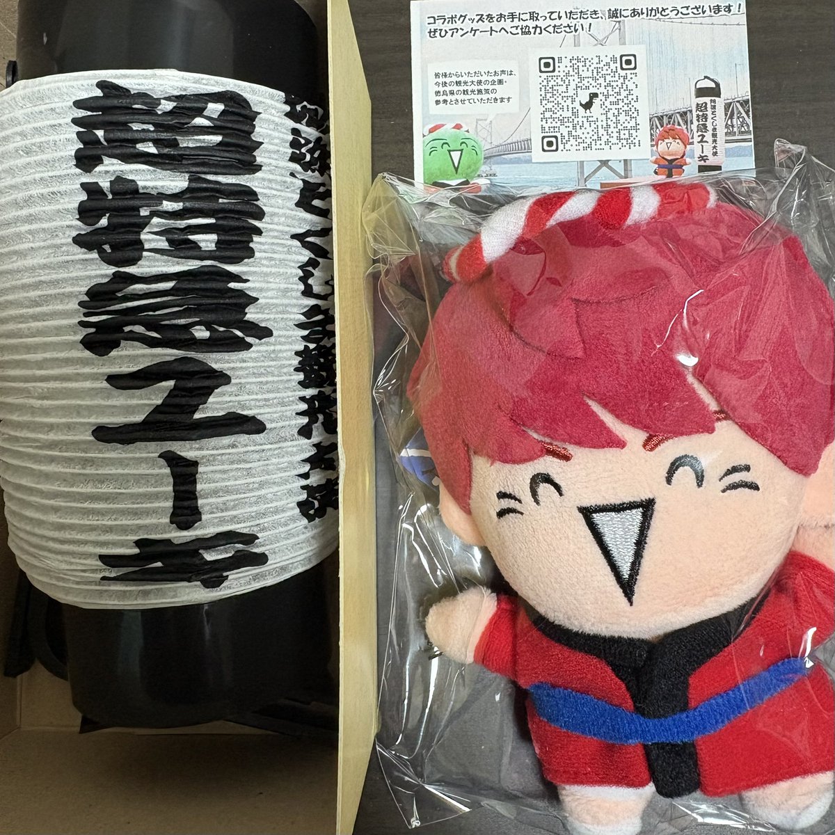 徳島県のふるさと納税の返礼品でユーキくんのぬいぐるみと提灯が届いた