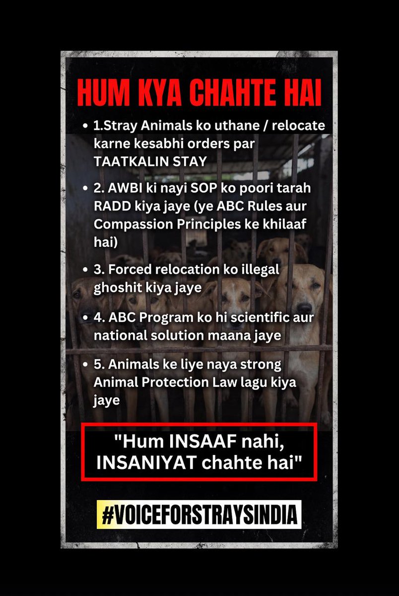 reshmasharma22's tweet photo. #voiceforstraysindia https://t.co/kB72SA1ra4