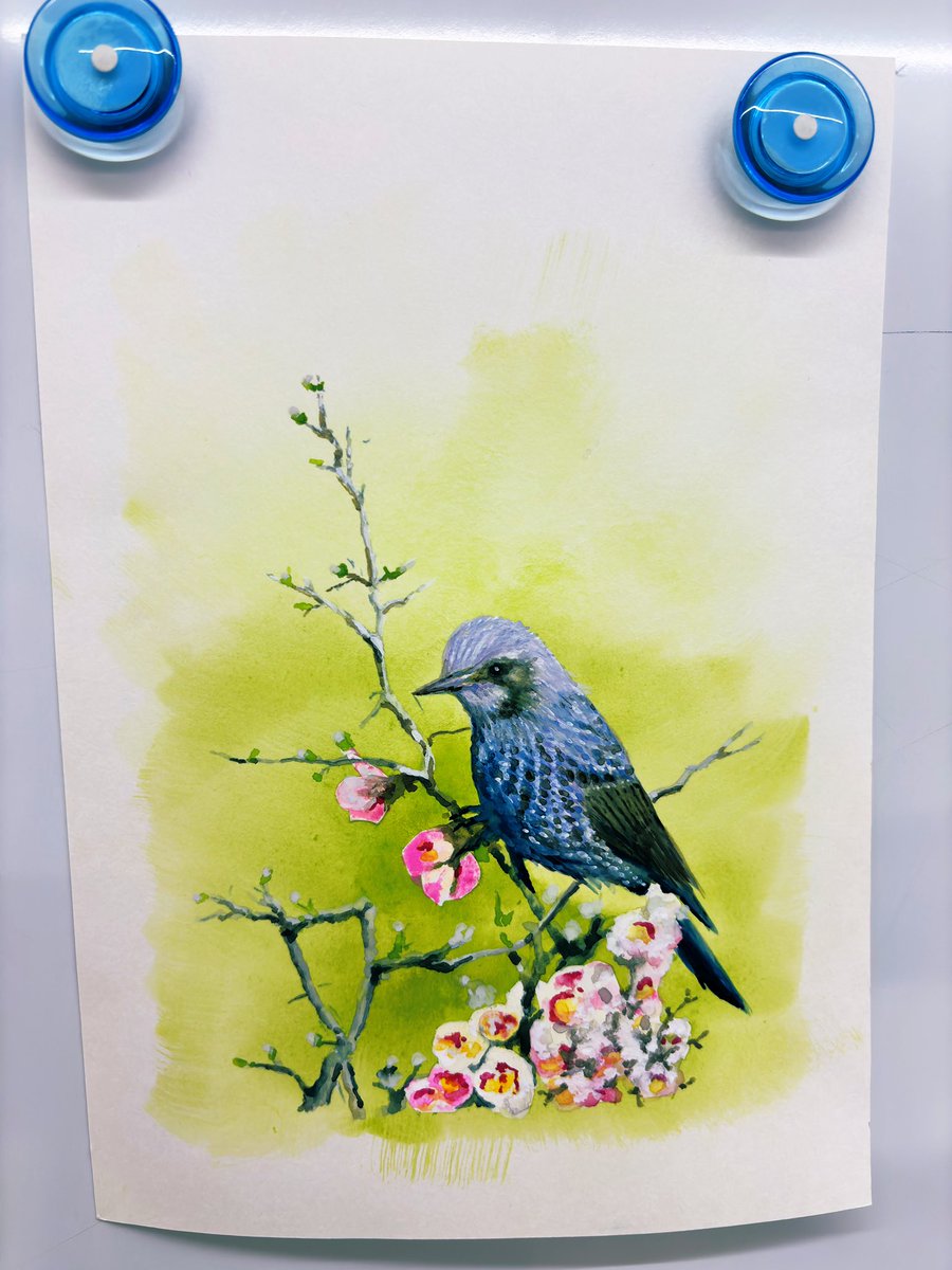 今年最後の水彩教室の生徒さん作品。鳥を描くのも楽しいですね。