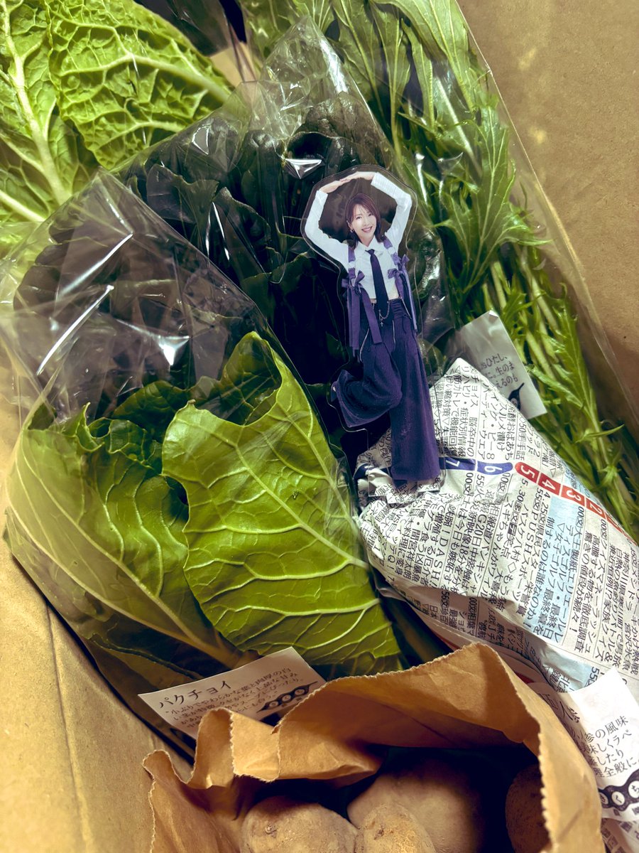 村田めぐみ (@muratamegumi33) / Posts / X