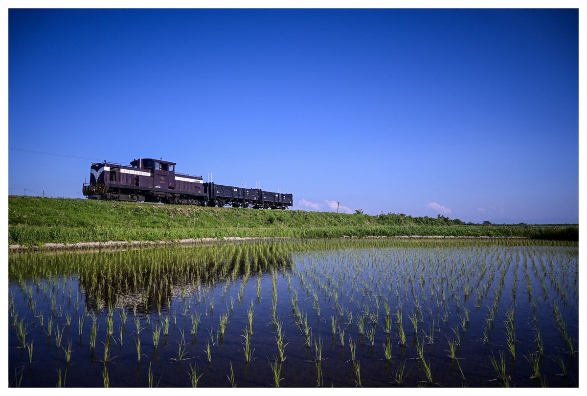 国鉄サボ　津軽／ざおう サボ 愛称板 「急行」＆急行「津軽」: マル鉄コレクション館