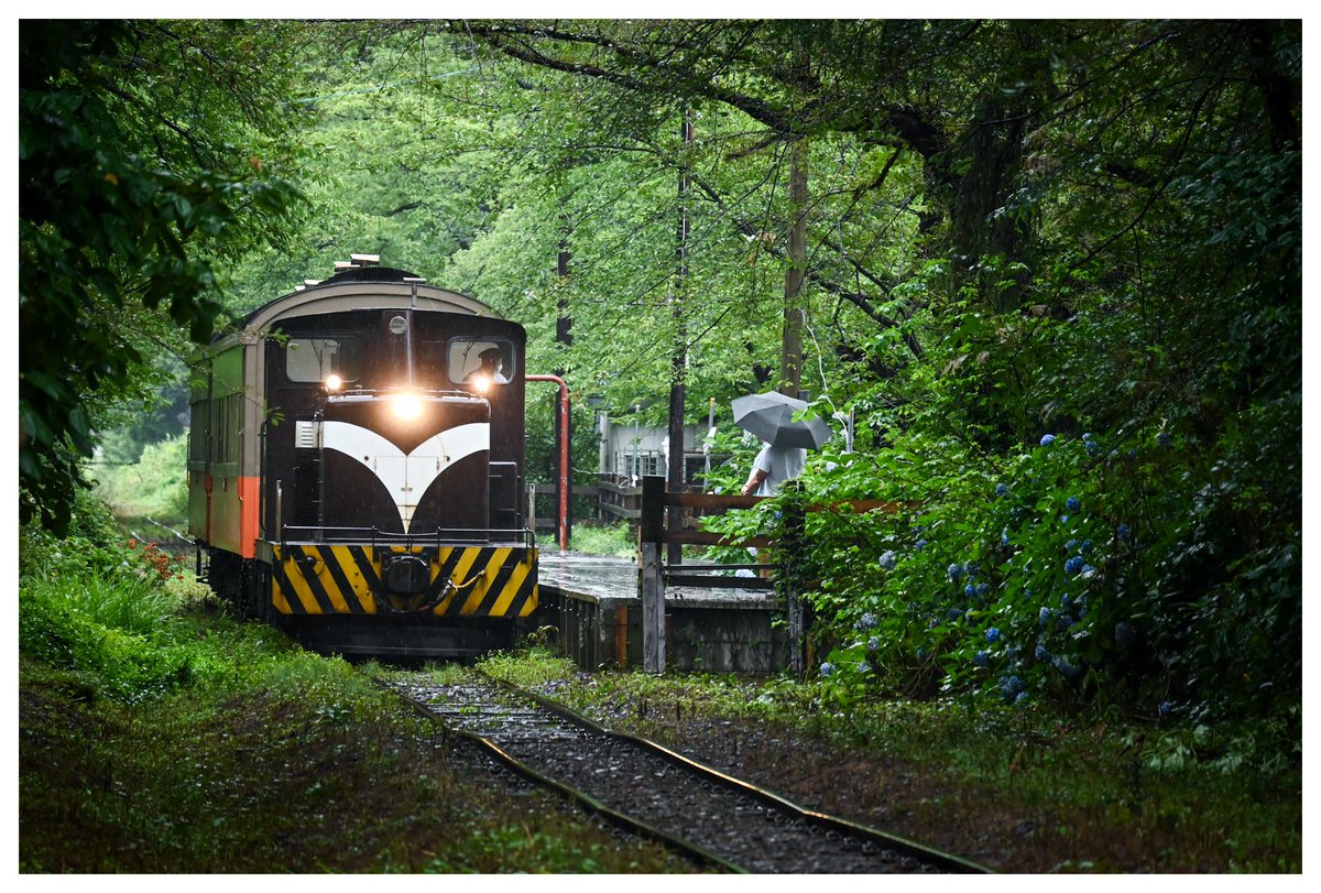 国鉄サボ　津軽／ざおう サボ 愛称板 「急行」＆急行「津軽」: マル鉄コレクション館