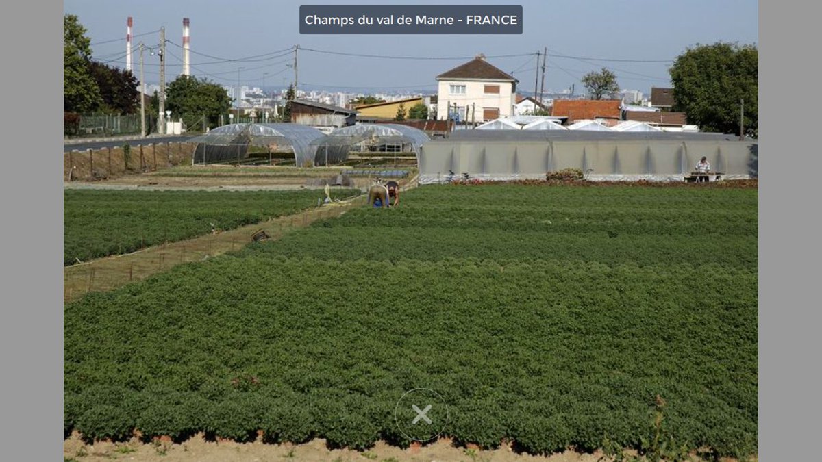 DomWolves's tweet image. Champs-du-Val-de-Marne – France
Aujourd’hui, j’ai accepté.
Un pique-nique improvisé, généreux, presque déraisonnable 
Après tant de kilomètres, j’ai mangé comme un ogre.
Le temps s’est arrêté le temps d’un après-midi simple et chaleureux.
#TBW @The_B_Walk