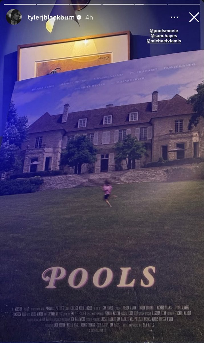 elise 🦊 tweet media