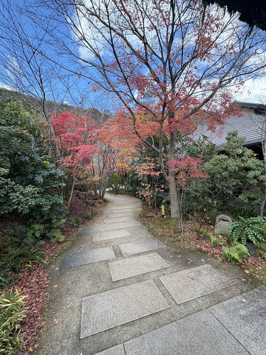 昨日、今日と会社の忘年会で泊まりで箱根に行って来ました。
毎年泊まりで箱根でわざわざ忘年会するのもなぁ。
翌日休みならいいんだけど仕事だったよ。とほほ。