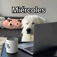 Buen día 🧉 excelente miércoles! 😊