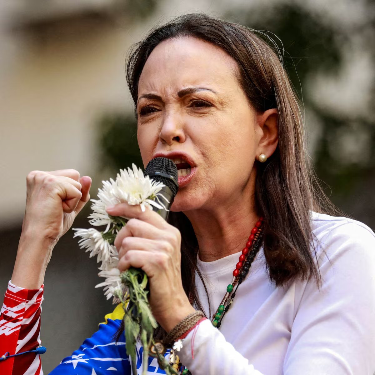 🚨🇻🇪 BREAKING: "Nobel Peace Prize" laureate María Corina Machado said military action against Venezuela would be an "act of love," not a "conventional regime change."

🤡🤡🤡🤡🤡