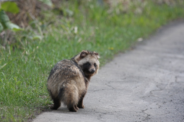 宇都ポン (@zBDNi3yp8iwTNRi) / Posts / X