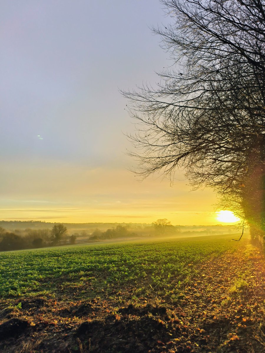 LadyGrace27's tweet image. A beautiful morning, carrying me gently into the day ahead...✨

#Wednesdayvibe #walks #commute #NatureBeauty 
#blessed #Grateful