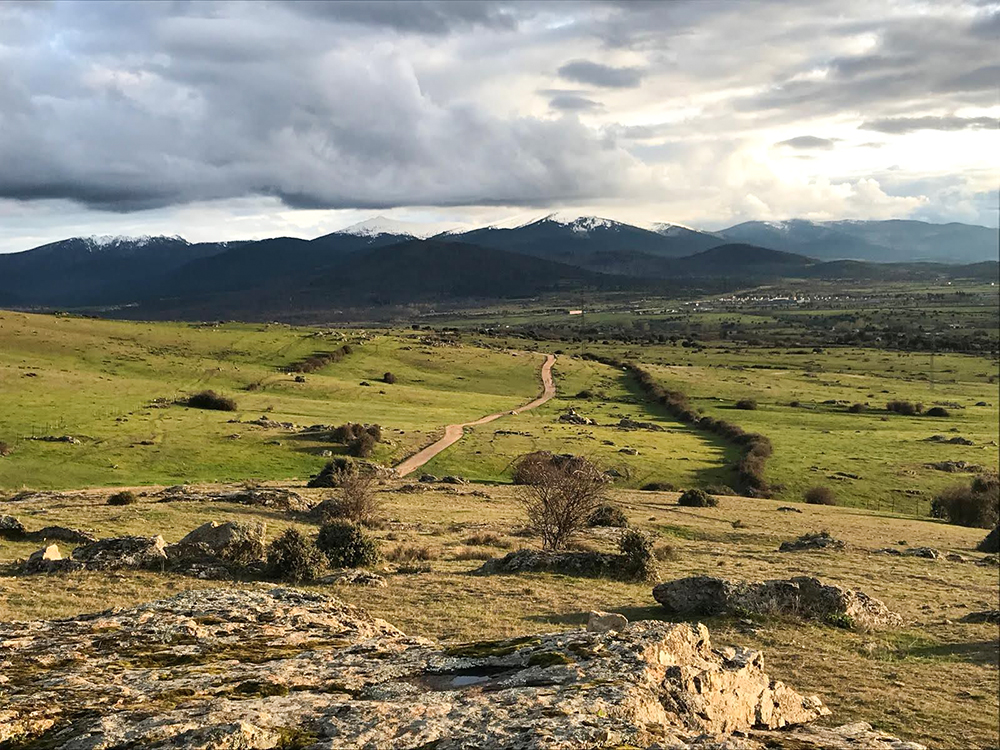 La Cañada Soriana avanzando hacia la sierra de Guadarrama, por la vertiente segoviana. Un camino histórico a los pies de la Atalaya, entre praderas abiertas y horizonte sin ruido.
shre.ink/qTbN

#Segovia #Turismo #Viajar #Travel #Naturaleza #Aventura #TurismoRural