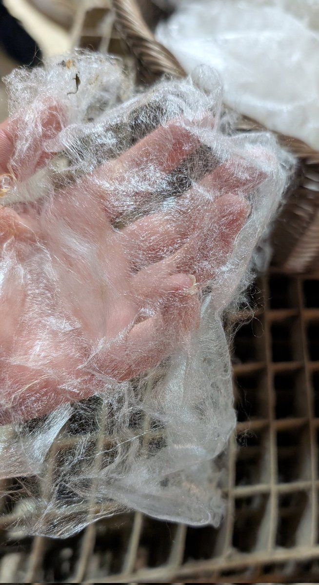 ひるちゃんページ 神🧞‍♂️ #cosplay #japan