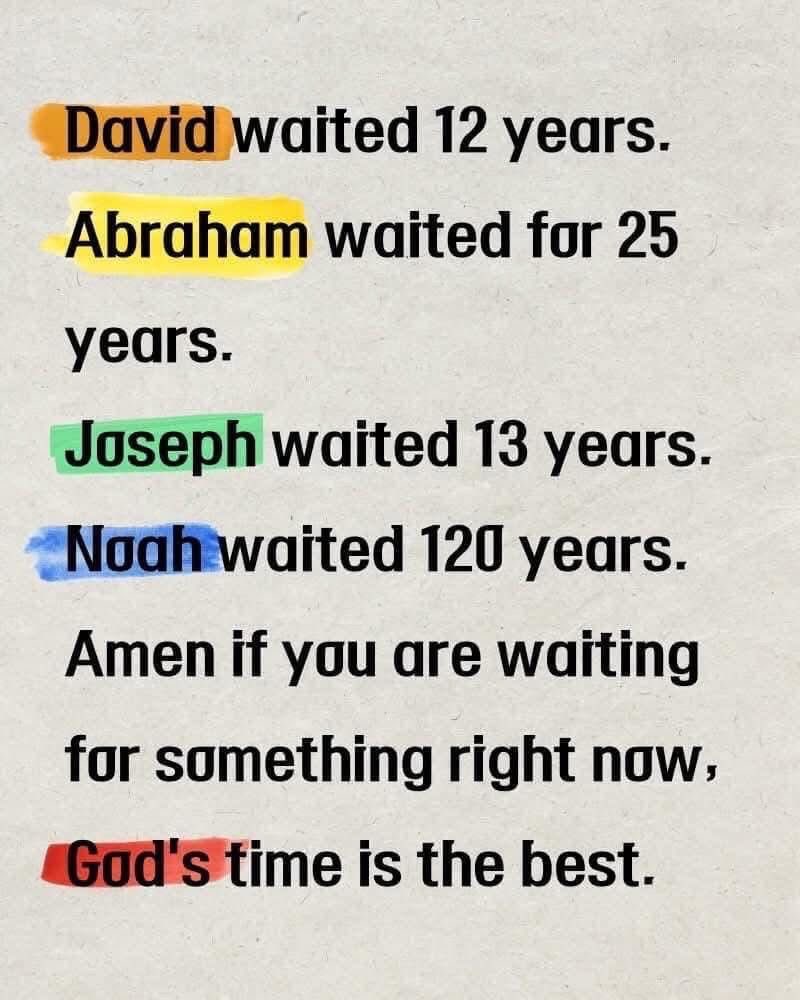 Holy Bible tweet media