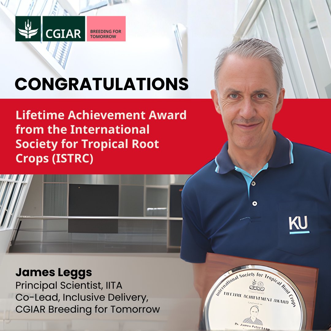 CGIARbreeding's tweet photo. ๐ Congratulations to Dr James Legg on receiving the ISTRC Lifetime Achievement Award!
Principal Scientist at @IITA_CGIAR & #InclusiveDelivery co-lead at @CGIARbreeding, James has shaped sustainable cassava seed systems across Africa & advanced the fight against CMD & CBSD๐ https://t.co/IgxBqDxYqm