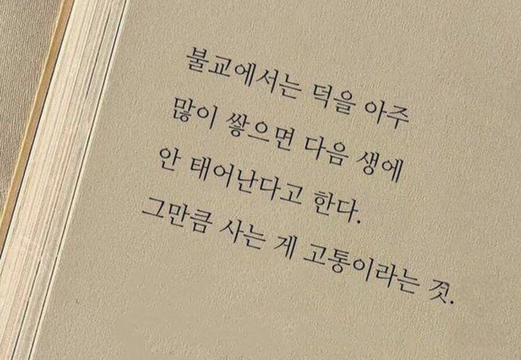 보들보들 tweet media