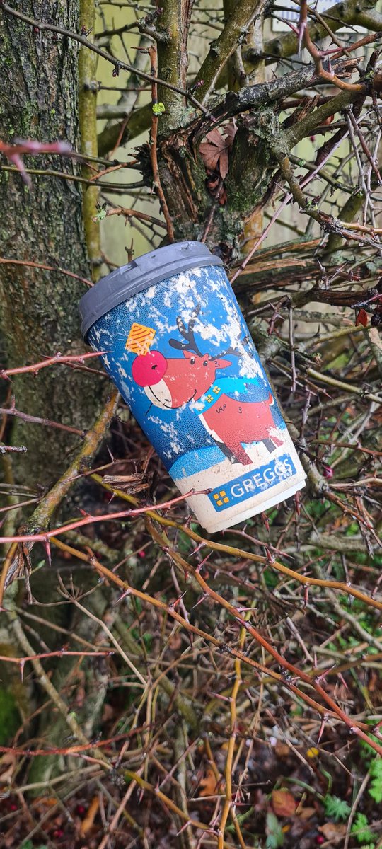 Mike The Litterpicker tweet media