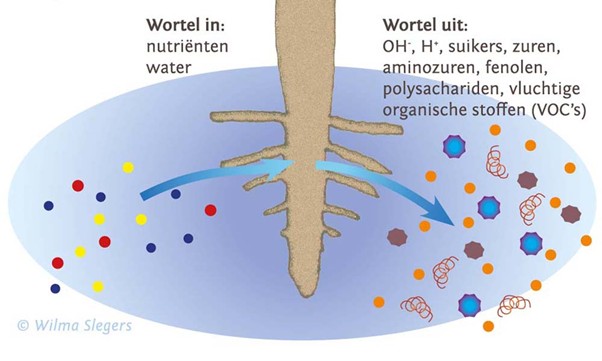 FarmPlus tweet media