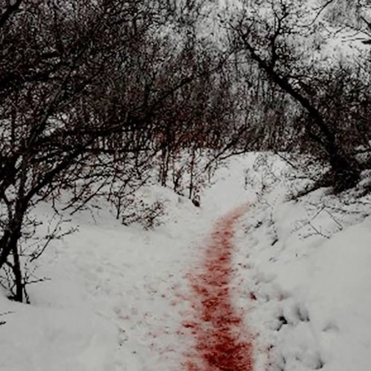 grungepeep's tweet photo. I love winter <3 https://t.co/VXA1pdUl94