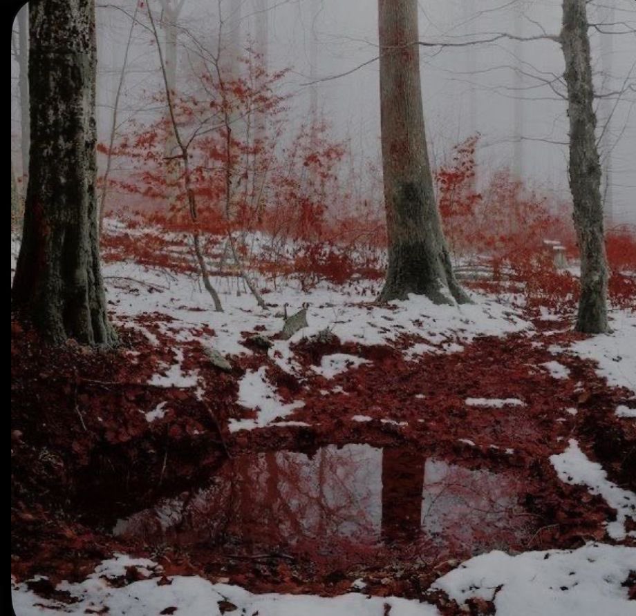 grungepeep's tweet photo. I love winter <3 https://t.co/VXA1pdUl94